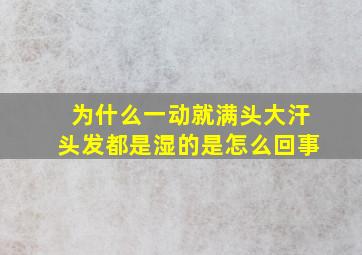 为什么一动就满头大汗头发都是湿的是怎么回事