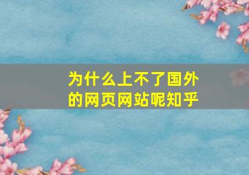 为什么上不了国外的网页网站呢知乎