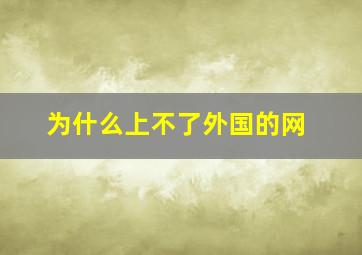 为什么上不了外国的网