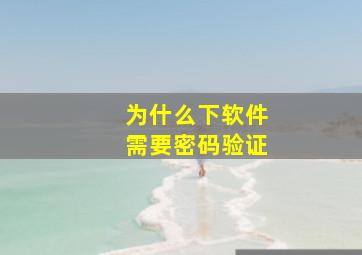 为什么下软件需要密码验证