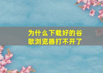 为什么下载好的谷歌浏览器打不开了