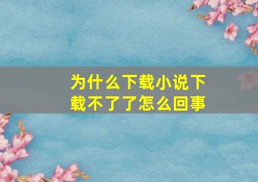 为什么下载小说下载不了了怎么回事