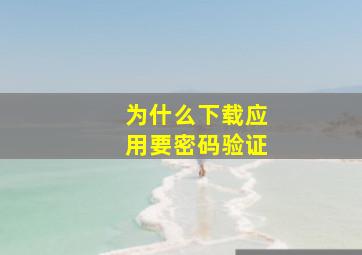 为什么下载应用要密码验证