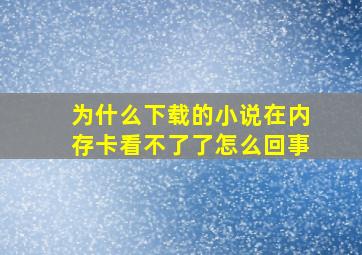 为什么下载的小说在内存卡看不了了怎么回事