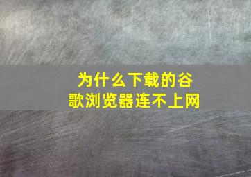 为什么下载的谷歌浏览器连不上网