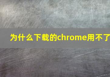 为什么下载的chrome用不了