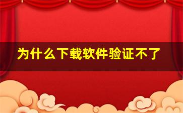 为什么下载软件验证不了