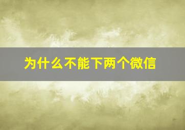 为什么不能下两个微信