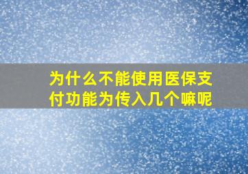 为什么不能使用医保支付功能为传入几个嘛呢