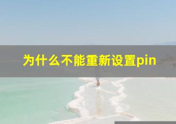 为什么不能重新设置pin