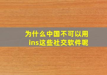 为什么中国不可以用ins这些社交软件呢