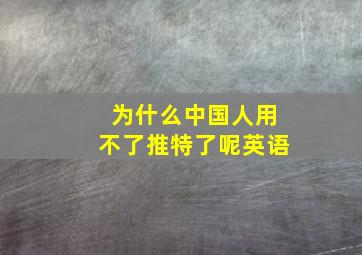 为什么中国人用不了推特了呢英语