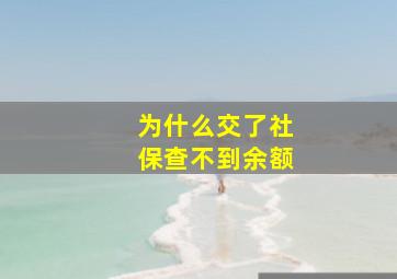 为什么交了社保查不到余额