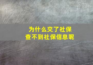 为什么交了社保查不到社保信息呢