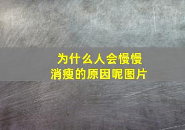 为什么人会慢慢消瘦的原因呢图片