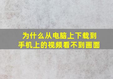 为什么从电脑上下载到手机上的视频看不到画面