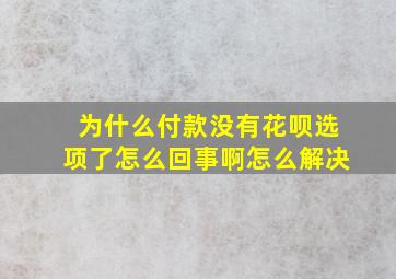 为什么付款没有花呗选项了怎么回事啊怎么解决