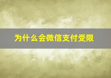 为什么会微信支付受限