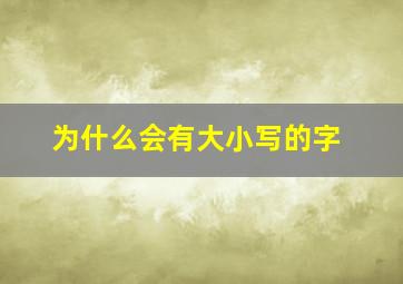 为什么会有大小写的字