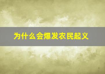 为什么会爆发农民起义