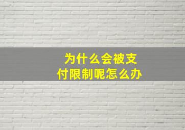 为什么会被支付限制呢怎么办