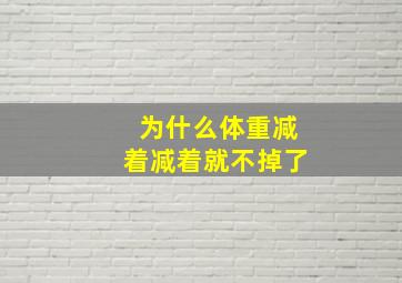 为什么体重减着减着就不掉了