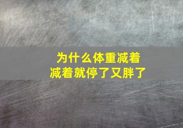 为什么体重减着减着就停了又胖了