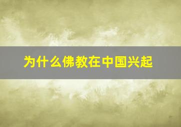 为什么佛教在中国兴起