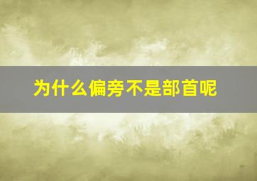 为什么偏旁不是部首呢