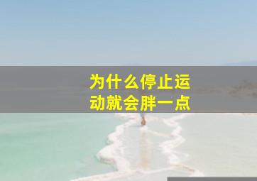 为什么停止运动就会胖一点