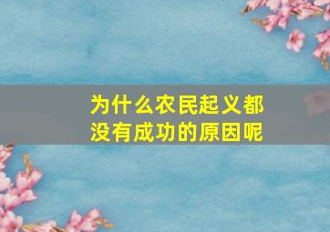 为什么农民起义都没有成功的原因呢