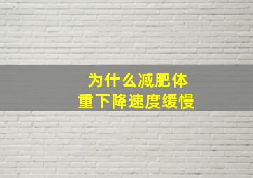 为什么减肥体重下降速度缓慢