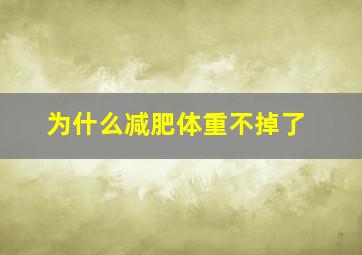 为什么减肥体重不掉了