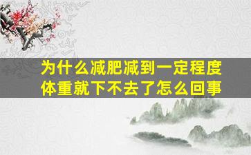 为什么减肥减到一定程度体重就下不去了怎么回事