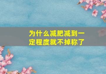 为什么减肥减到一定程度就不掉称了