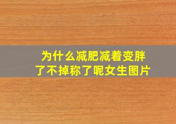 为什么减肥减着变胖了不掉称了呢女生图片