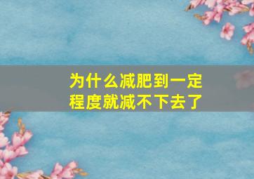 为什么减肥到一定程度就减不下去了