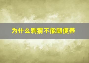 为什么刺猬不能随便养