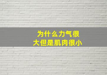 为什么力气很大但是肌肉很小