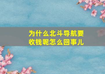 为什么北斗导航要收钱呢怎么回事儿