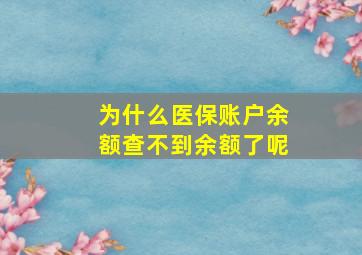 为什么医保账户余额查不到余额了呢