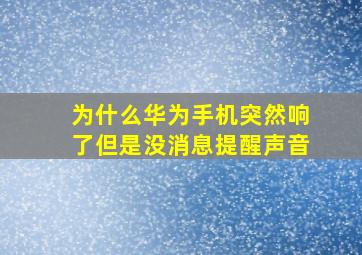 为什么华为手机突然响了但是没消息提醒声音