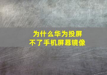 为什么华为投屏不了手机屏幕镜像