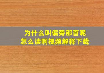 为什么叫偏旁部首呢怎么读啊视频解释下载