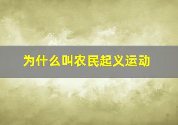 为什么叫农民起义运动