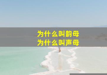 为什么叫韵母为什么叫声母