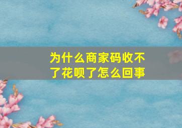 为什么商家码收不了花呗了怎么回事