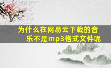 为什么在网易云下载的音乐不是mp3格式文件呢