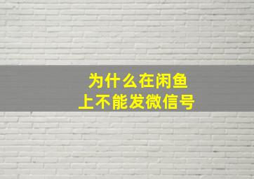 为什么在闲鱼上不能发微信号