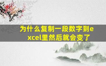 为什么复制一段数字到excel里然后就会变了